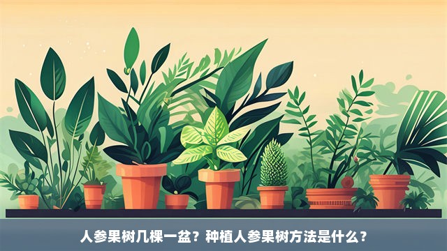 人参果树几棵一盆？种植人参果树方法是什么？