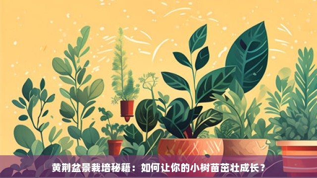 黄荆盆景栽培秘籍：如何让你的小树苗茁壮成长？