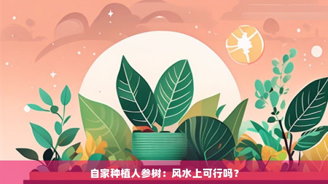 自家种植人参树：风水上可行吗？