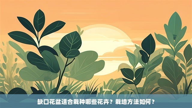 缺口花盆适合栽种哪些花卉？栽培方法如何？