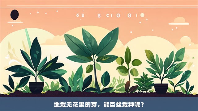 地栽无花果的芽，能否盆栽种呢？